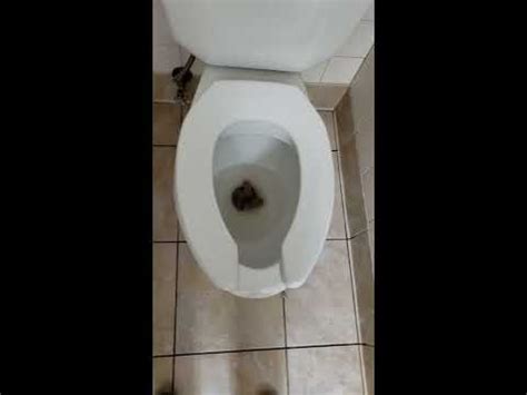 Image result for Modeling Paste Craft Ideas