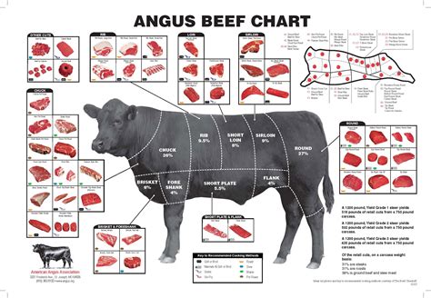 Image result for Beef Processing Cuts