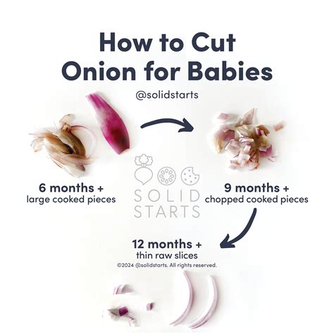 Can Babies Eat Onions