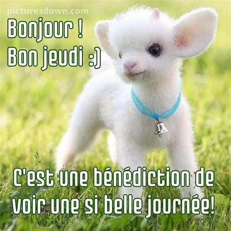 Bonjour bon jeudi image enfant
