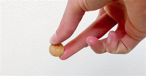 Image result for How to Catch Cockroach