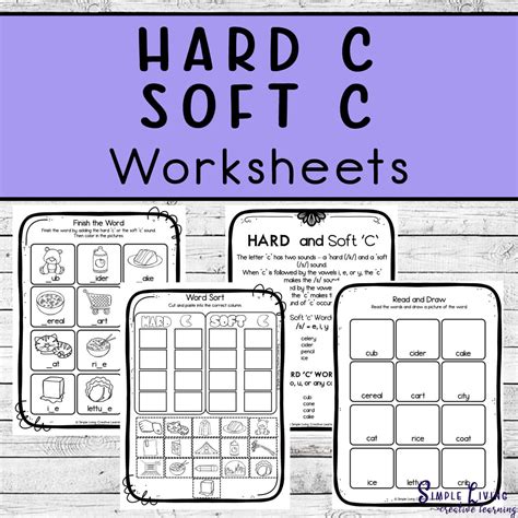 Hard And Soft C Worksheet