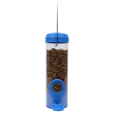 6 Best Bird Feeders for Mealworms (Proven And Reliable!)