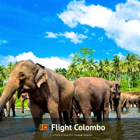 Cheap flight Qatar Airways Colombo, flight ticket Colombo | Monde du Voyage