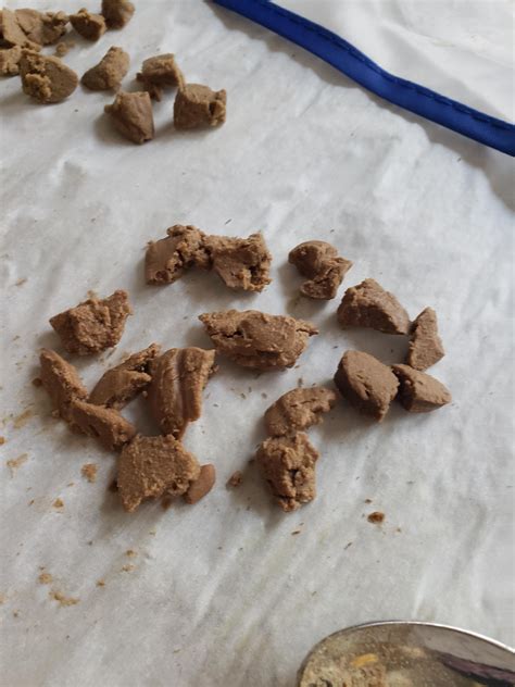 Image result for Homemade Bubble Hash