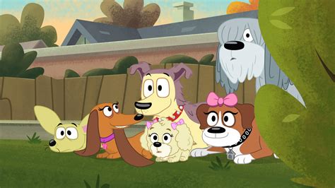 Pound Puppies 2010 Wallpapers - Wallpaper Cave