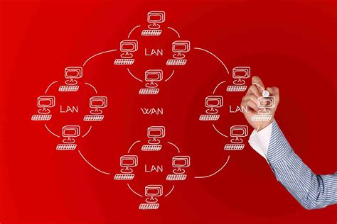Wan Computer Network 的图像结果