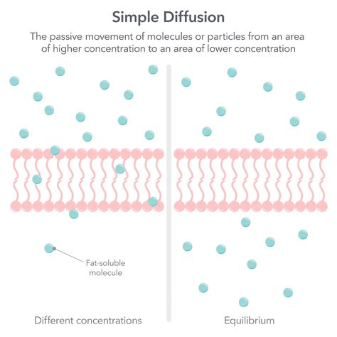 Image result for What Is Simple Diffusion