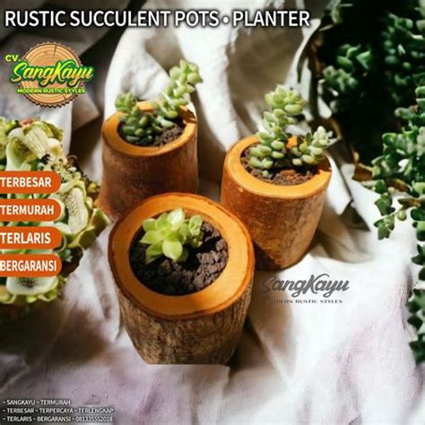 Jual Natural wood log planters succulent pot vas bunga kayu kaktus ...