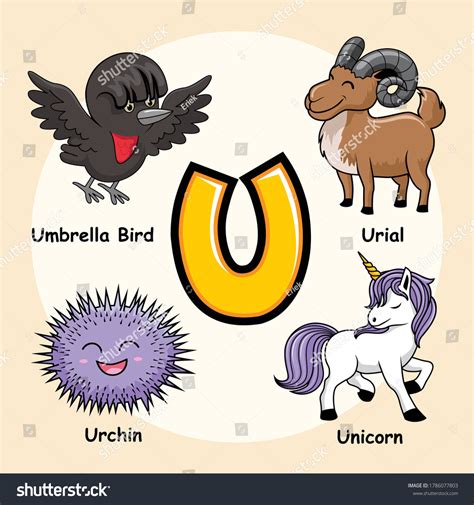 Cute Animals Alphabet Letter U Unicorn Stock Vector (Royalty Free ...