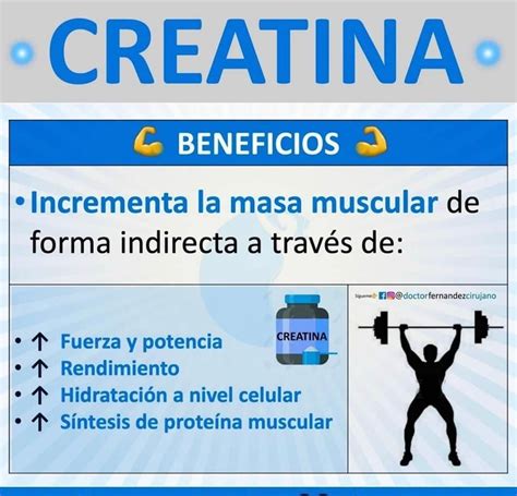 Beneficios de la Creatina | Aumento de peso saludable, Creatina ...