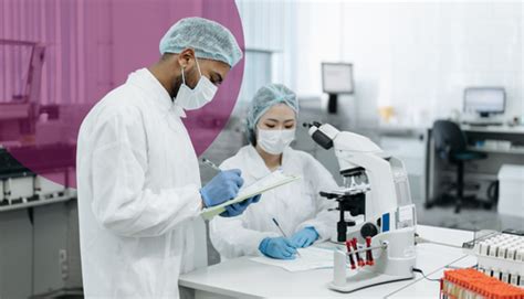 Pulse Nutrition – Pulse Nutriscience