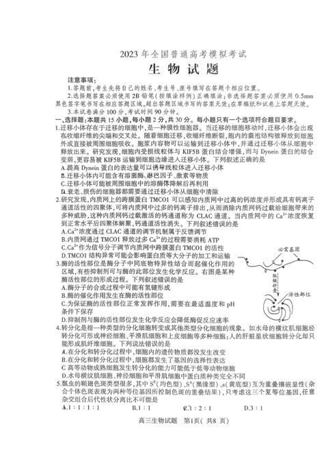 2024山东高考体检是几月几号（附具体体检项目）-赶考猫