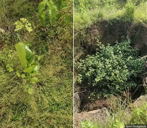 To compensate for mining projects, Adivasi land in Jharkhand is being ...