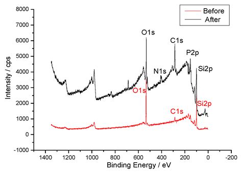 Connection of ssDNA to Silicon Substrate Based on a Mechano–Chemical Method