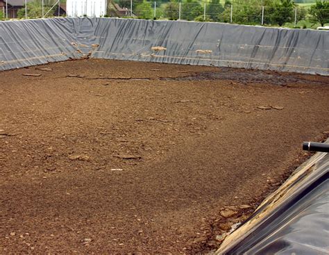 Notfallplan für Gülle: Landwirte dürfen provisorische Lager bauen ...