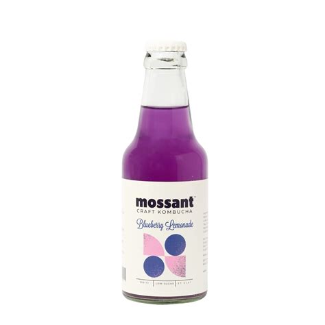 Mossant Kombucha |Blueberry Kombucha | Craft kombucha | Low Sugar | 37 ...