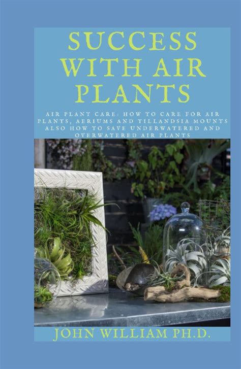 Buy SUCCESS WITH AIR S: Air Care: How To Care For Air s, Aeriums And ...