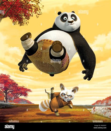 Shifu Kung Fu Panda