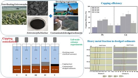 Feasibility of Remediation of Heavy-Metal-Contaminated Marine Dredged ...