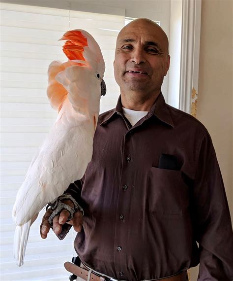 Steven Mesa Turrey (1965-2021) - Find a Grave Memorial