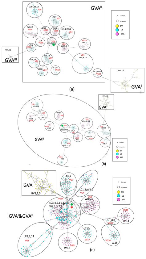 Genetic Diversity of Grapevine Virus A in Three Australian Vineyards ...