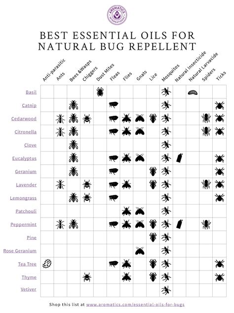 A guide to natural bug repellent with essential oils | aromatics.com ...