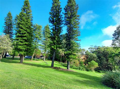 Arcadia Park - Visit Newcastle