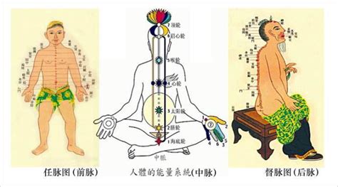 奇经八脉的解释_艾灸穴位_艾灸TOP网