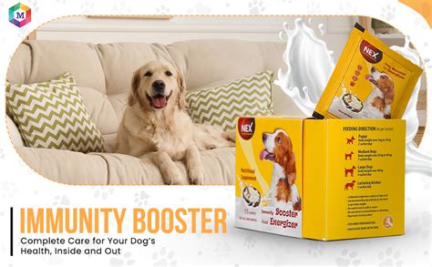 Medfly Healthcare Goat Milk + Multivitamin + Colostrum (Immunity ...