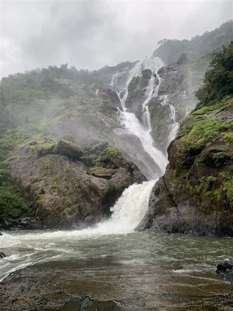 Viral Reels of Dudhsagar Falls entice trekkers to break rules; local ...