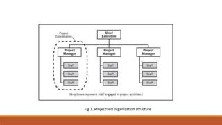Projectized Organization Structure 的图像结果