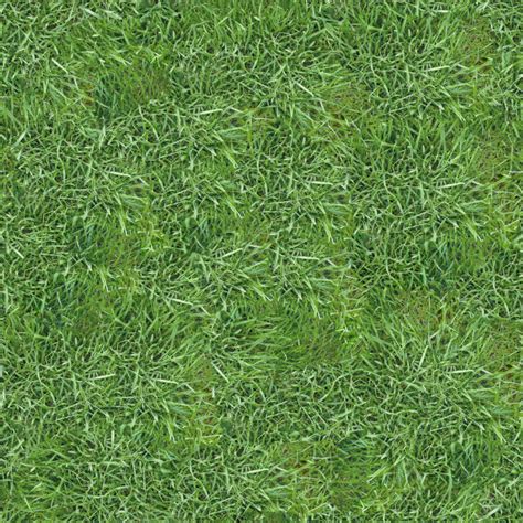 Perennial Ryegrass - Architextures