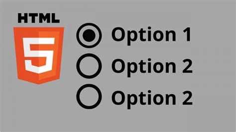 Radio Button in JavaScript 的图像结果