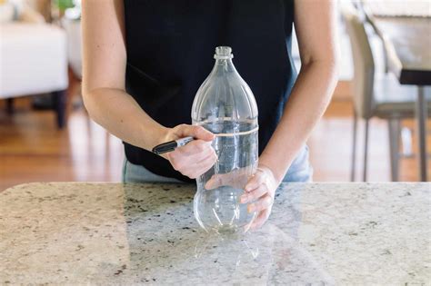 How to Make a DIY Wasp Trap