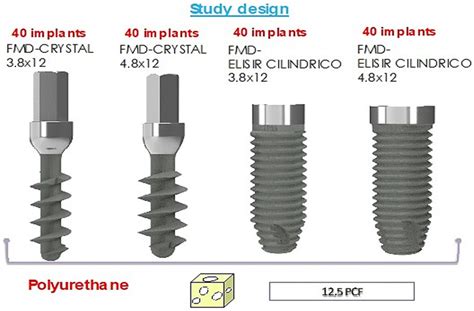 Comparative In Vitro Evaluation of the Primary Stability in D3 ...