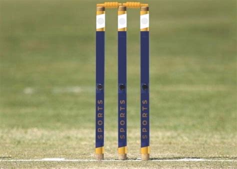 Image result for Parallel Life Examples