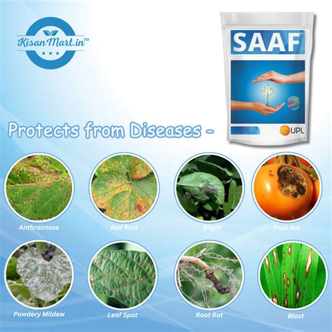 UPL Saaf Fungicide Carbendazim 12% + Mancozeb 63% WP | Broad Spectrum ...