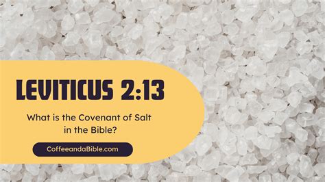 What is the Covenant of Salt in the Bible? (Leviticus 2:13) - Coffee ...