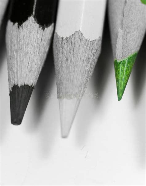 Using Color Pencils for Elementary 的图像结果