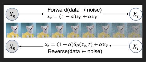 Diffusion Neural Network Model 的图像结果