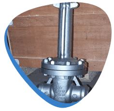 L&T cryogenic gate valve | L&T 304 cryo gate valves distributor