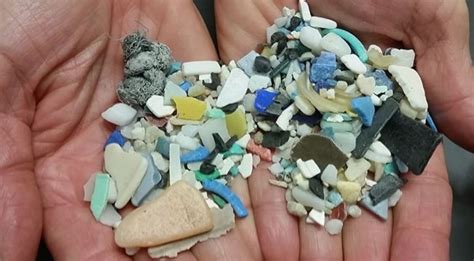 Here Is Proof That We Are Eating & Drinking Plastic, After Scientists ...