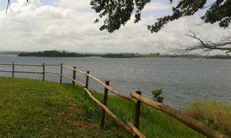 Arenosa Fishing Adventures - All You Need to Know BEFORE You Go