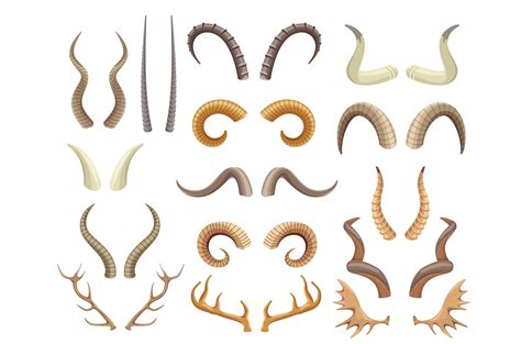 Different Types of Animal Horns - Hand Drawn Set