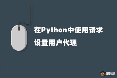 User Agent Python 的图像结果