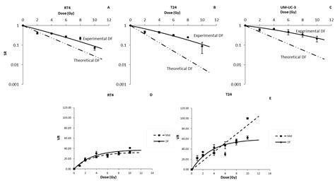 Radiation Treatment Timing and Dose Delivery: Effects on Bladder Cancer ...
