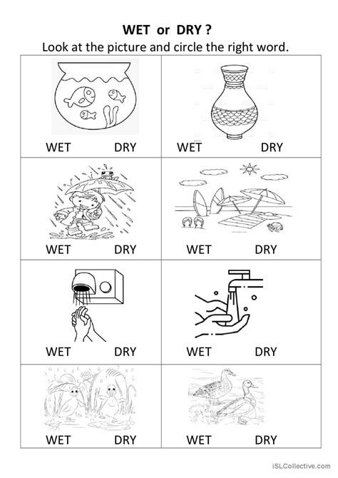 Wet Dry Ice Lab Worksheet at Brad Schaffer blog