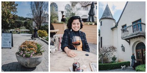 Carmel Valley wineries: best places to go wine tasting with dogs!