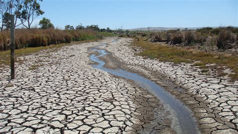 For global wetlands, intensifying droughts pose a ‘diabolical’ threat